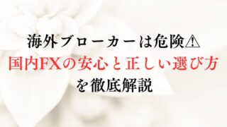 海外ブローカーは危険⚠国内FXの安心と正しい選び方を徹底解説